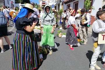Romería ofrenda a la Virgen del Pino (Foto TA y Antonio Alí)